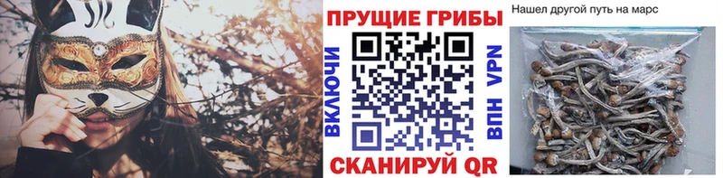 Галлюциногенные грибы MAGIC MUSHROOMS  Инза 